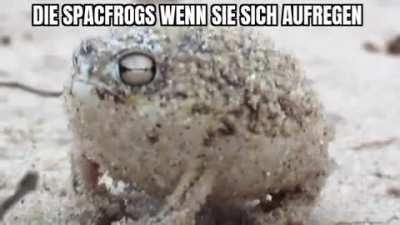 *Aufgeregte Alki Geräusche*