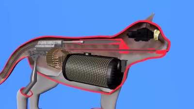 Как стрелять из кота