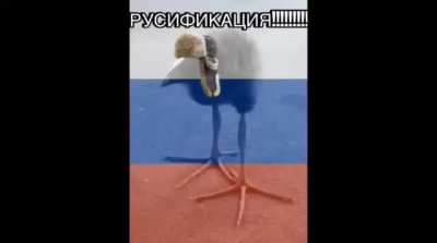 Need Help With Finding song