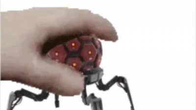 pet the spicy boi (the good ending)