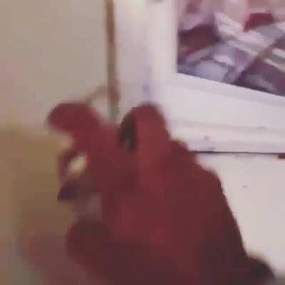 Let me try this before calling pest control.