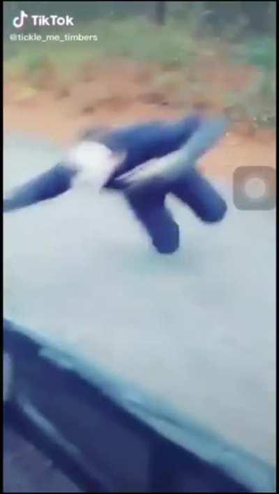 Bateu a labirintite no Jason