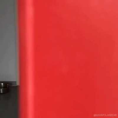 Good boi wants his treat