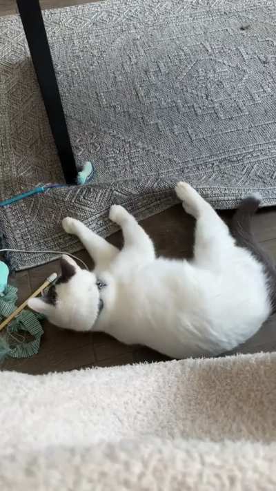 does anyone recognize this toy??