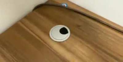 Somebody need to hear about this