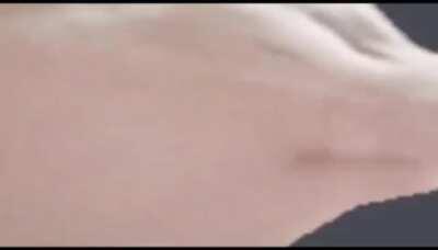 Opa, Bom Dia Amigo Você é Um Amigo