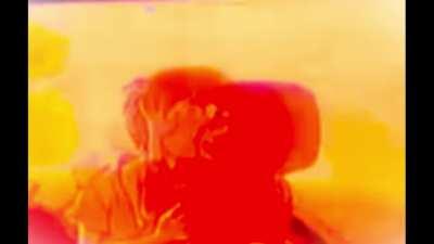 Scooby up to somthin