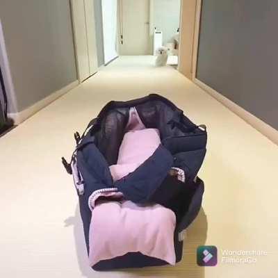 Fluffy is in position, ready to take off