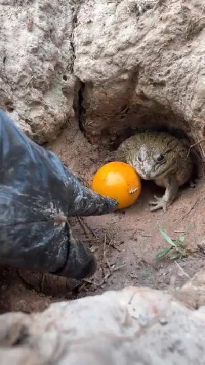 Don't take what's yours.