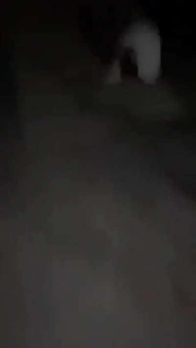 Not paying attention