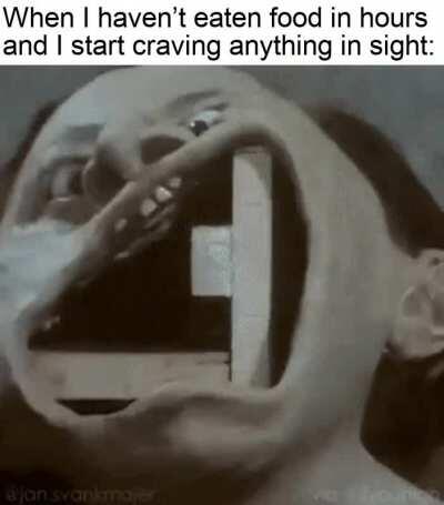 They already ate their clothes