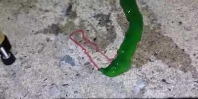 can you find what this is