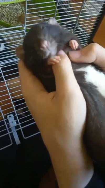 Special massage for a special boy 