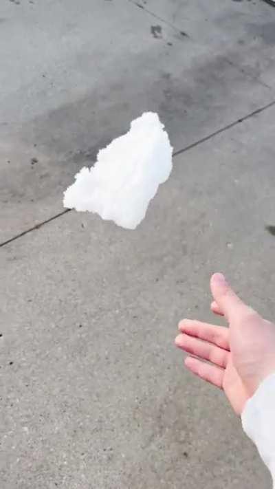 Celebrating our snow finally starting to melt with the Dudes.