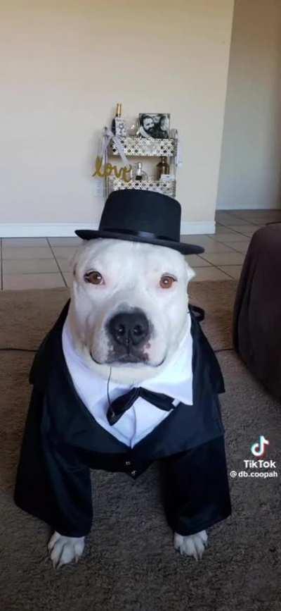 Anybody know the name of the song