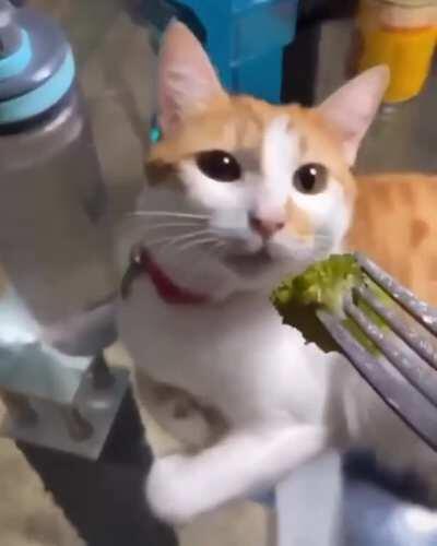Reaction to broccoli