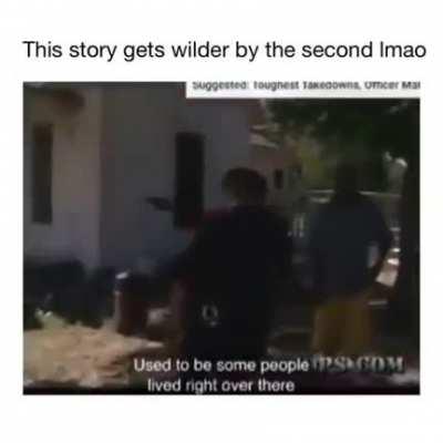 The ending is just gold