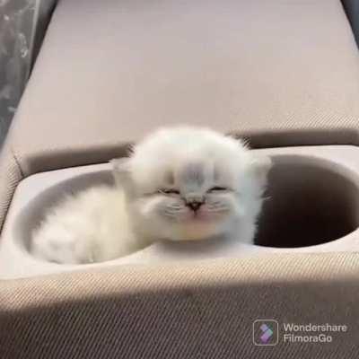 That's what those cup holders are for