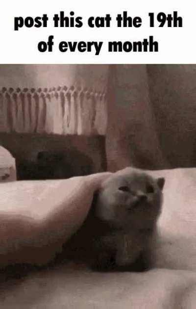 almost christmas rule