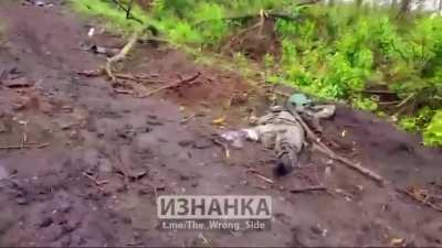 The Country Roads of Ukraine this Spring, are literally paved with dead UA Soldiers...In the same fashion as what happened there, to the German [ww2] army...and, what it looked like then. [NSFW]