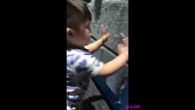 Da Série Gritos Perfeitamente Cortados