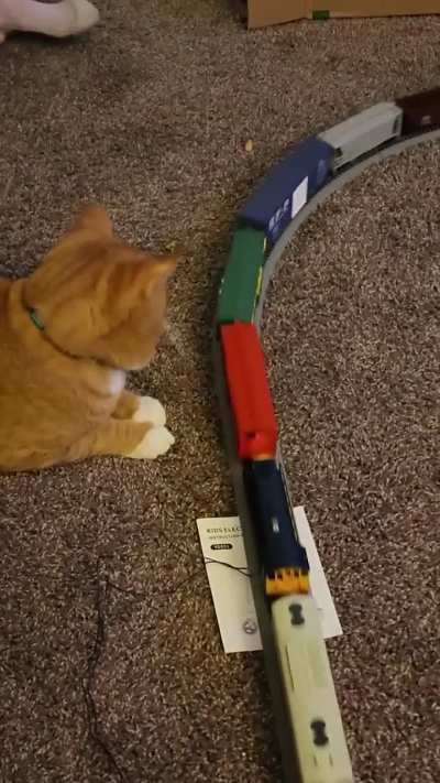 The newest (and fluffiest) railway saboteur.