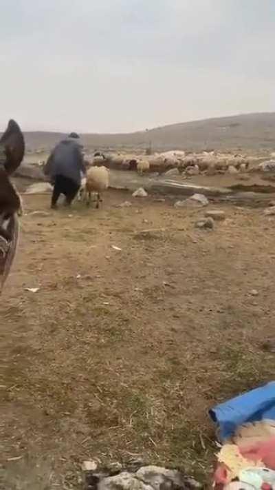 He was trying to have a nice breakfast