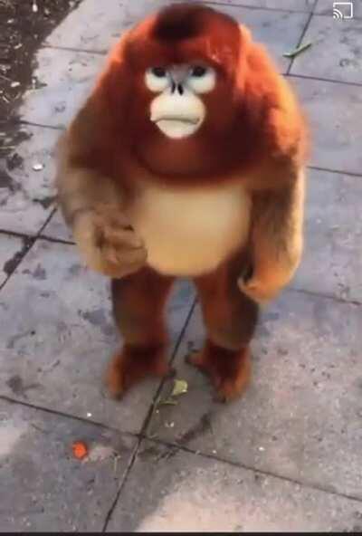 Wenn es Dividende gibt