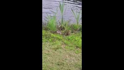 Just when you think you've got a good catch