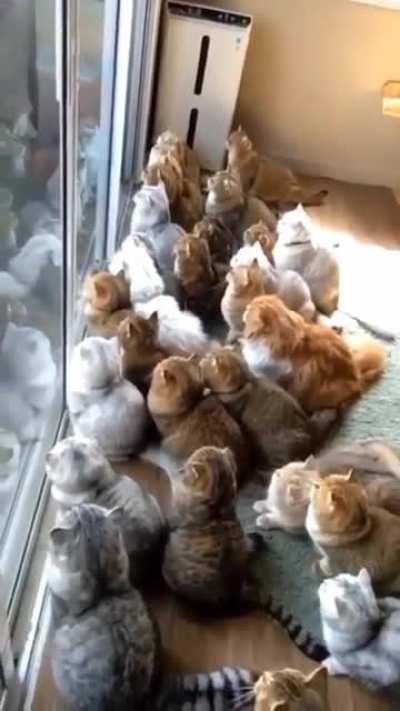 Don't breathe, don't move, or he fly away