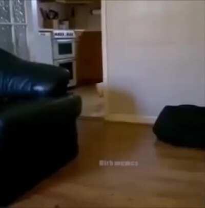 Darth vader ta diferente