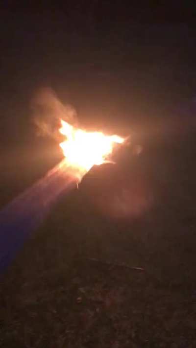 Use caution when playing with gas and dry pine trees.