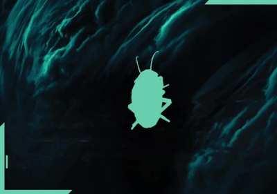 Battlefield sending some cryptic messages be like: