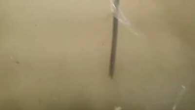 7 months passed on the Beirut Port Explosion. This is a new compilation video showing the entire event.