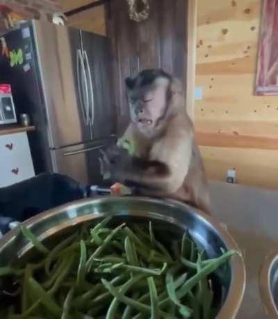 We make such face too when we apply force.