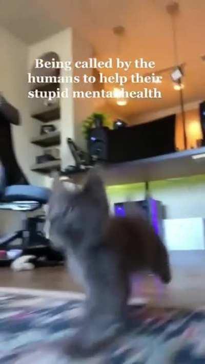 Mental health check, how’s everyone doing