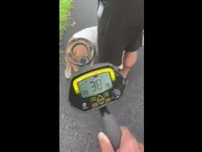 My neighbor lost his wedding ring. I let him borrow my metal detector. After looking for it in the yard, they took the dog for a walk.