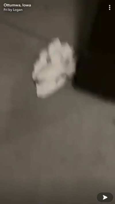 A drunk guy finds a pair of underwear on the ground and starts singing about it.