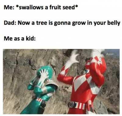 The devastation after accidentally swallowing a watermelon seed