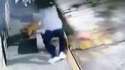 Dog: What was I going to do? Ah I remembered!