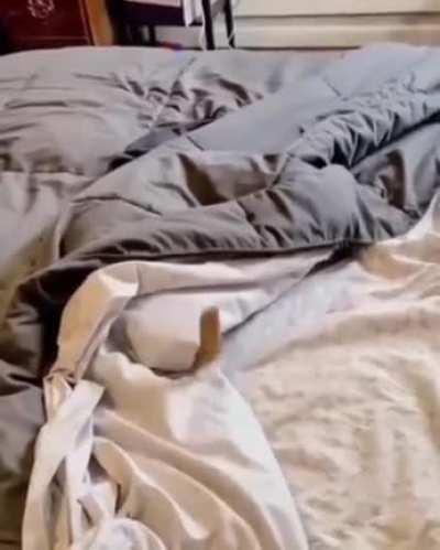 Никогда ещё Штирлиц не был так близок к провалу