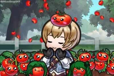 tomato season~
