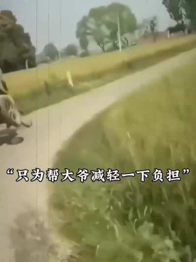 Always help the ones in need 