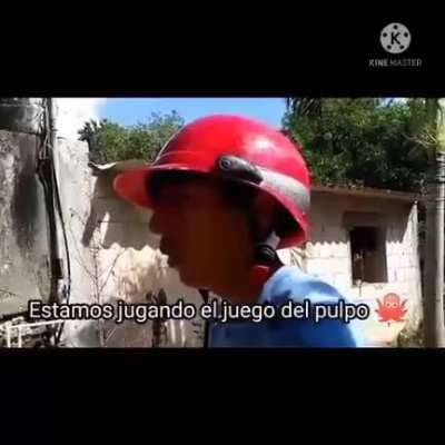 fan promedio de el juego del calamar: