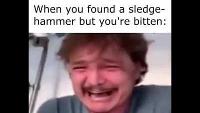 The Ultimate Project Zomboid Slander III