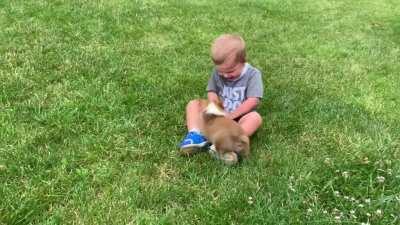 When you combine a 2 year old human with a 9 week old corgi... ❤️