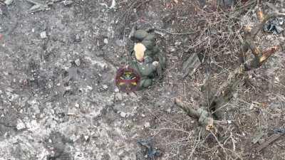 Котики голодают...