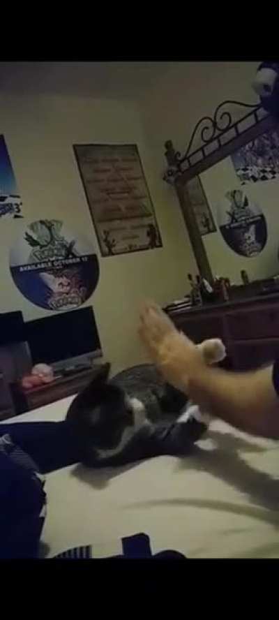 High five!