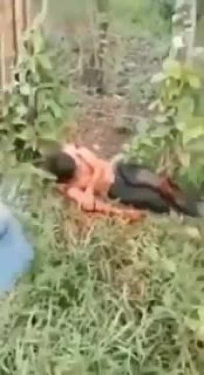 Fuck it, sharing this recent CJNG brutal execution.