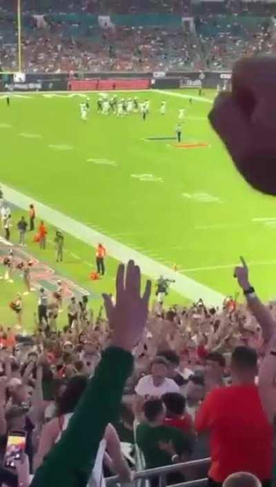 Sick people throw cat into the air at a sports match!